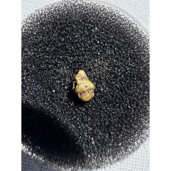 Gold Nugget - Grass Valley, California - 0.37 grams - Picture 5 of 6